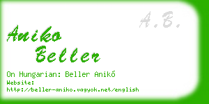 aniko beller business card